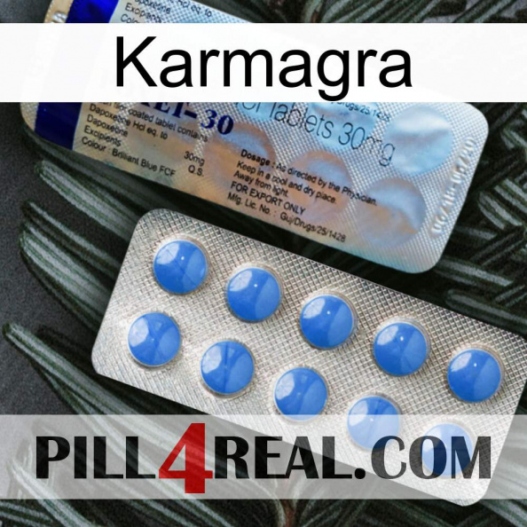 Karmagra 39.jpg